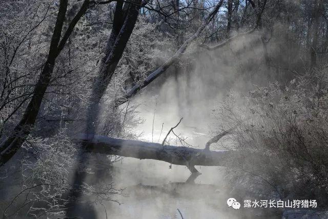史上最贱小游戏之TV秀