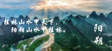 植物大战僵尸17