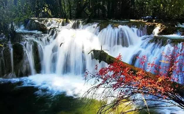曹丕登基前和登基后，曹魏政权的统治结构，发生了怎么样的变革