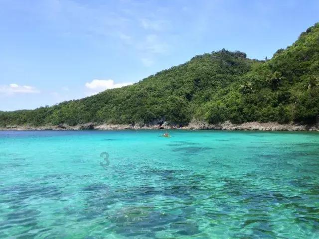 花语月
