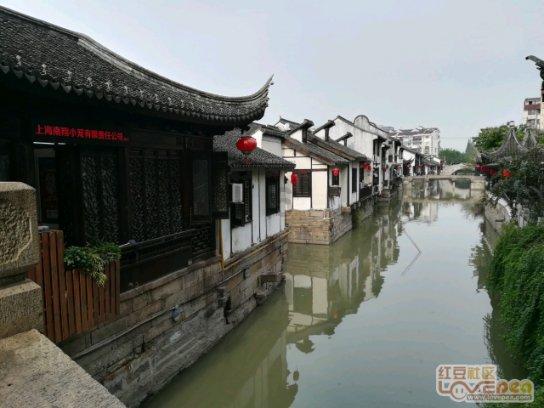 拯救蓝色小鸟